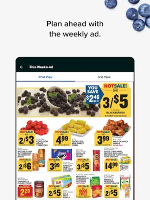 Food Lion android App screenshot 4